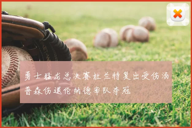 勇士猛龙总决赛杜兰特复出受伤汤普森伤退伦纳德率队夺冠